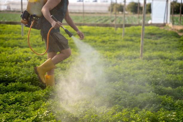 Reliable Elkhart, KS Pest Control Solutions