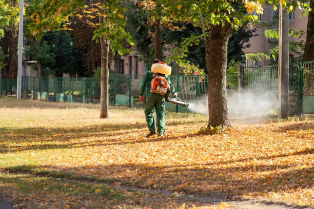 Best Mosquito Control Services  in Elkhart, KS