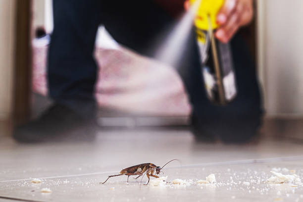 Best Pest Control Cost  in Elkhart, KS